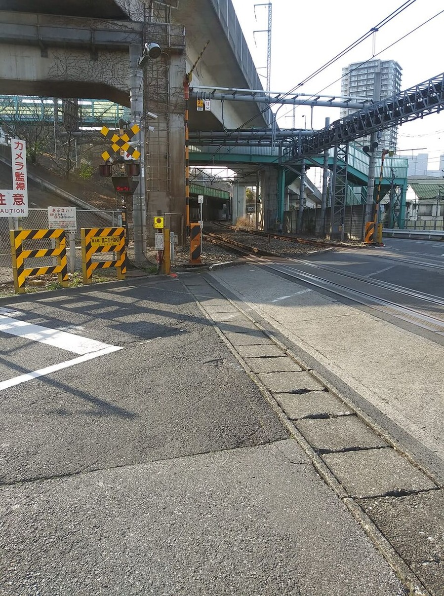 162052041_460009468643569_6401367141698978692_n