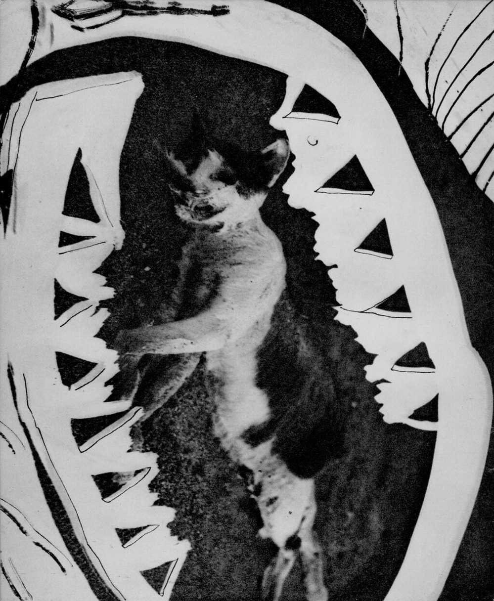 『みづゑ』373号_p213