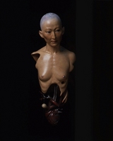 井桁裕子ＲＹＯＫＯ　ＤＯＬＬ