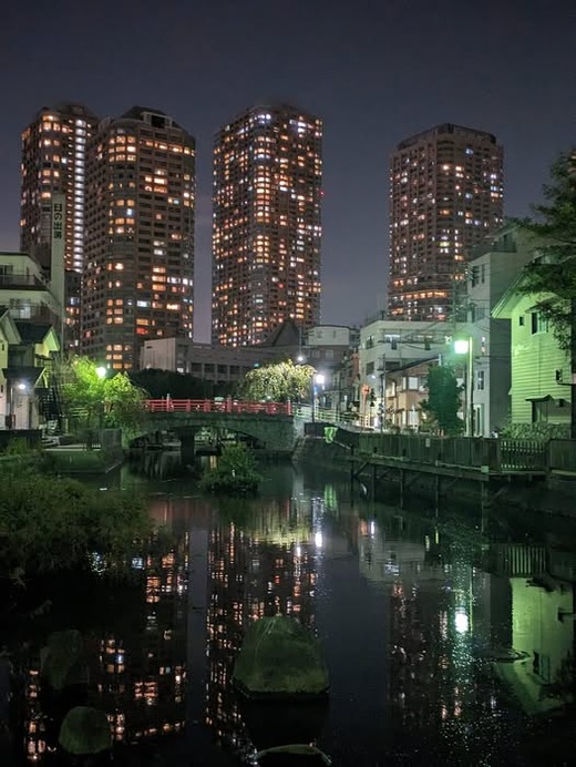 475701056_1330942528216921_6508532614289686642_n