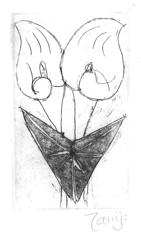 20221029132539_00001