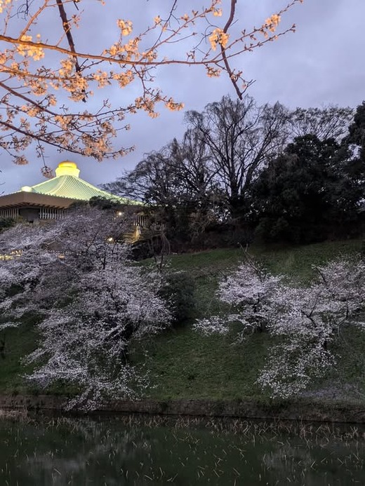 489774829_1380064503304723_8724245658356759096_n