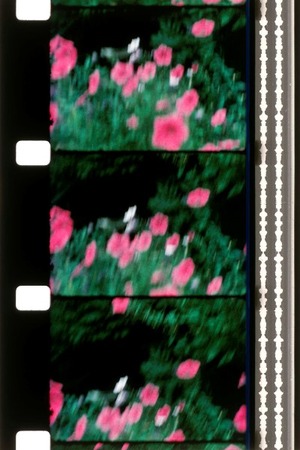 メカス「ウォルデン10」600