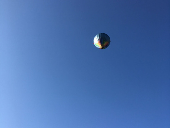 202010杉山幸一郎_img 06