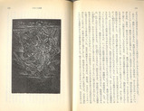 日和崎・金子「日本人の悲劇」挿画１