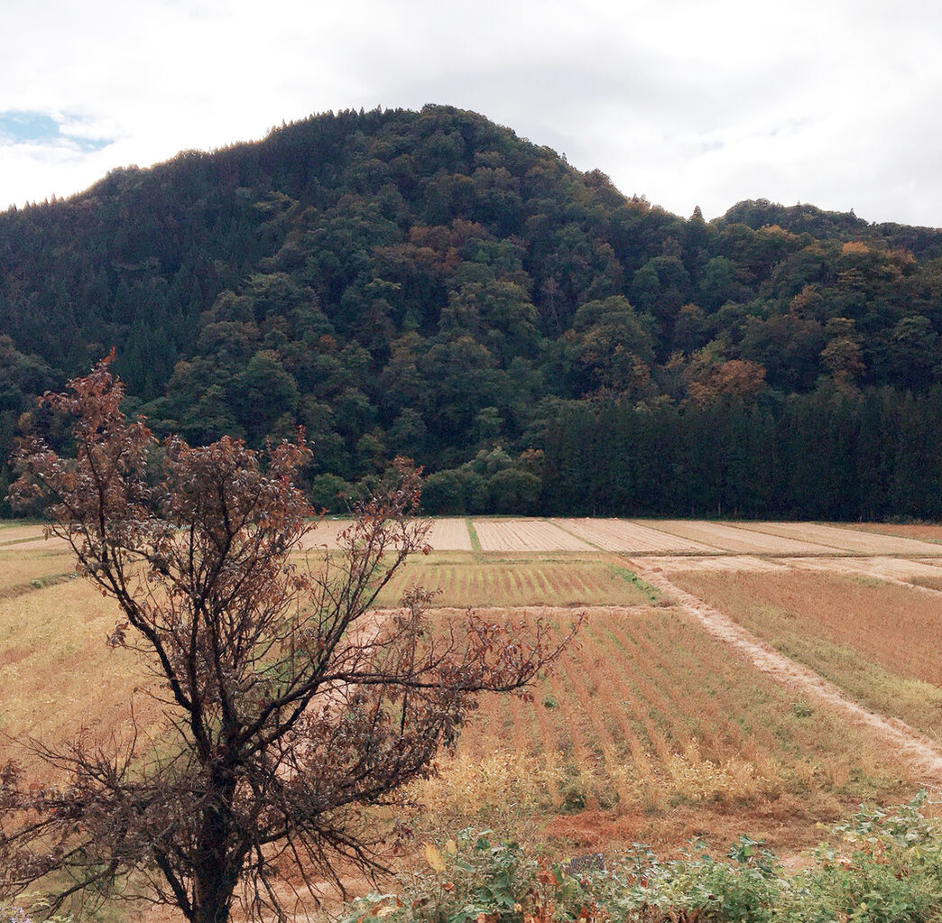 202011佐藤研吾_2