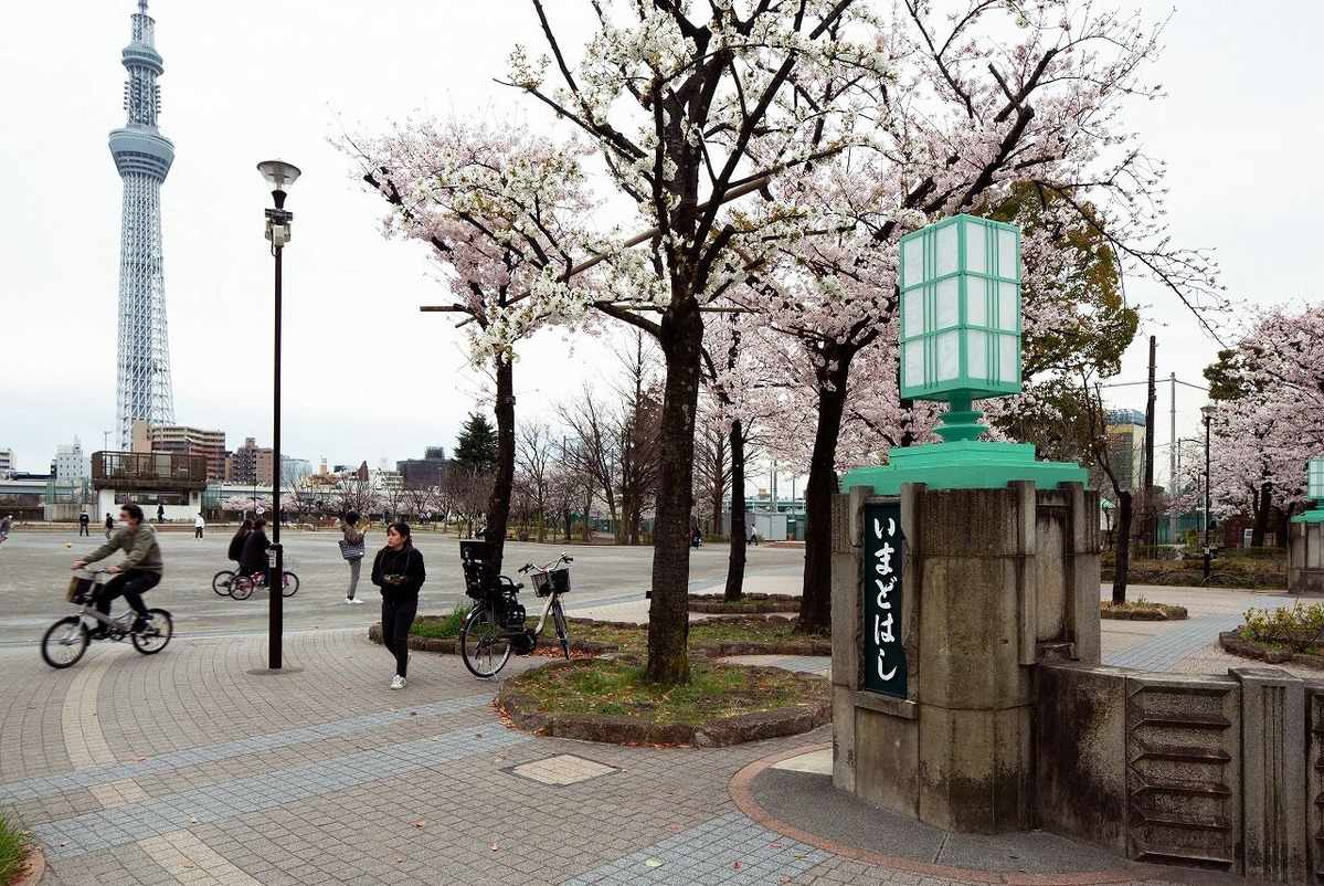 006　今戸七丁目　今戸橋と山谷堀広場（山谷堀跡）　2022.03.28