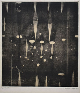 12_駒井哲郎_夜の森