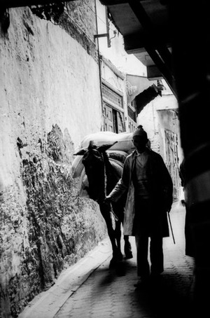 momose_04_mushoku_04