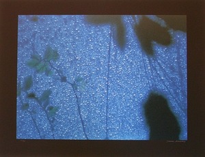 20151223_mekas_07_eda-ha