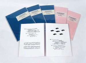 日蝕の昼間の偶発的物語、月蝕の夜の偶発的物語