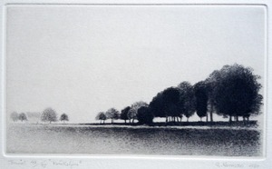 ⑥-2　ﾉﾙﾏﾝ　80　Evening Light