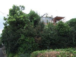 石山世田谷村全景