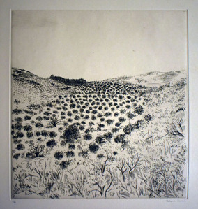 駒井哲郎_丘_日本の四季シリーズより 銅版画