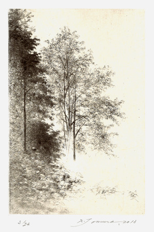 20150803_tomura_01_nature_summer_13