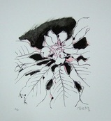 深沢紅子「ほうの花」