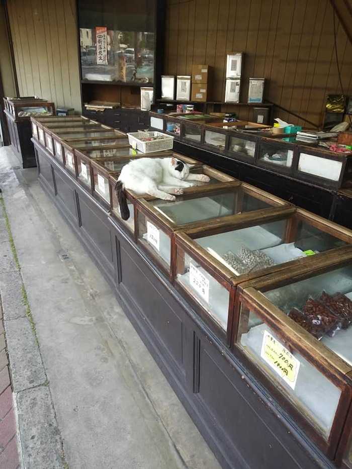 199911507_513407146637134_6730449750941179821_n