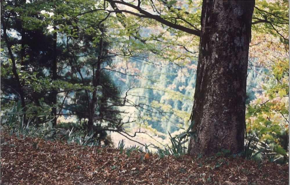 20231019183628_00001