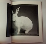 ベッティナ・ランス「ANIMAL」２