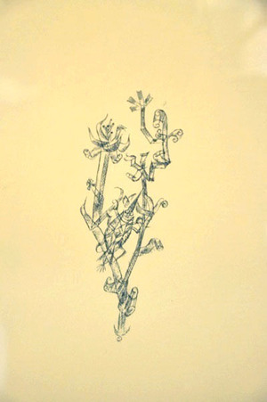 klee_02_riesenblattlaus