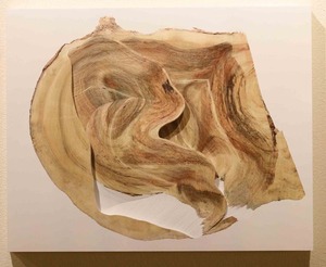 ネルホル作品画像