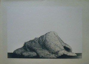 NＣ567野田哲也Nov18.76