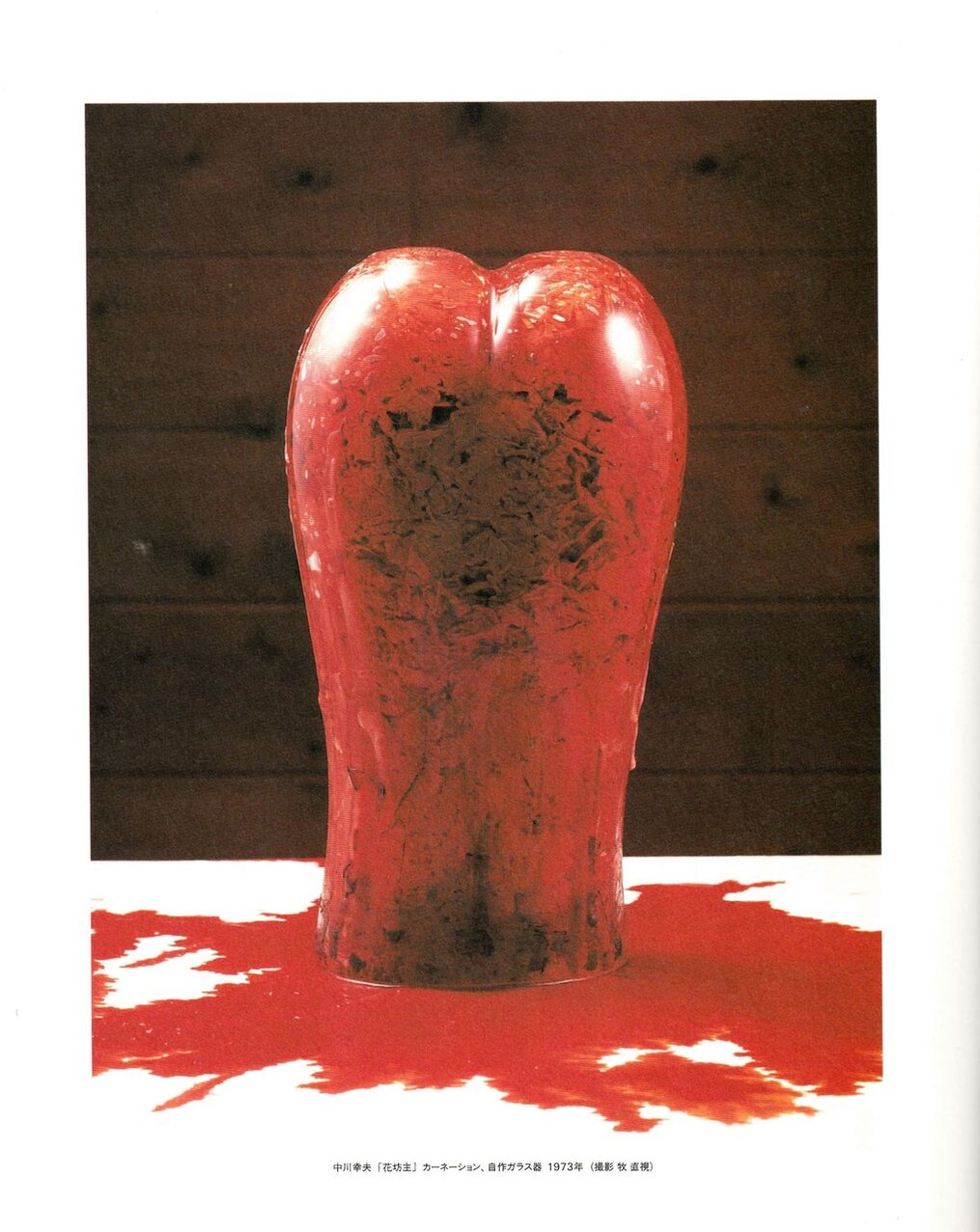 図版６.同上カタログより「花坊主」写真