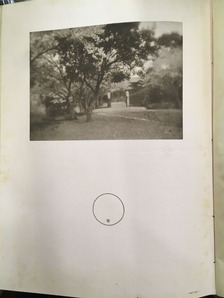 202007小国貴司_写真17