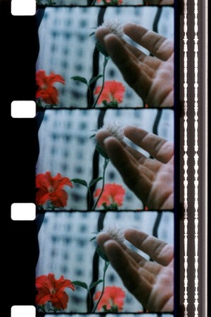 メカス「ウォルデン15」600