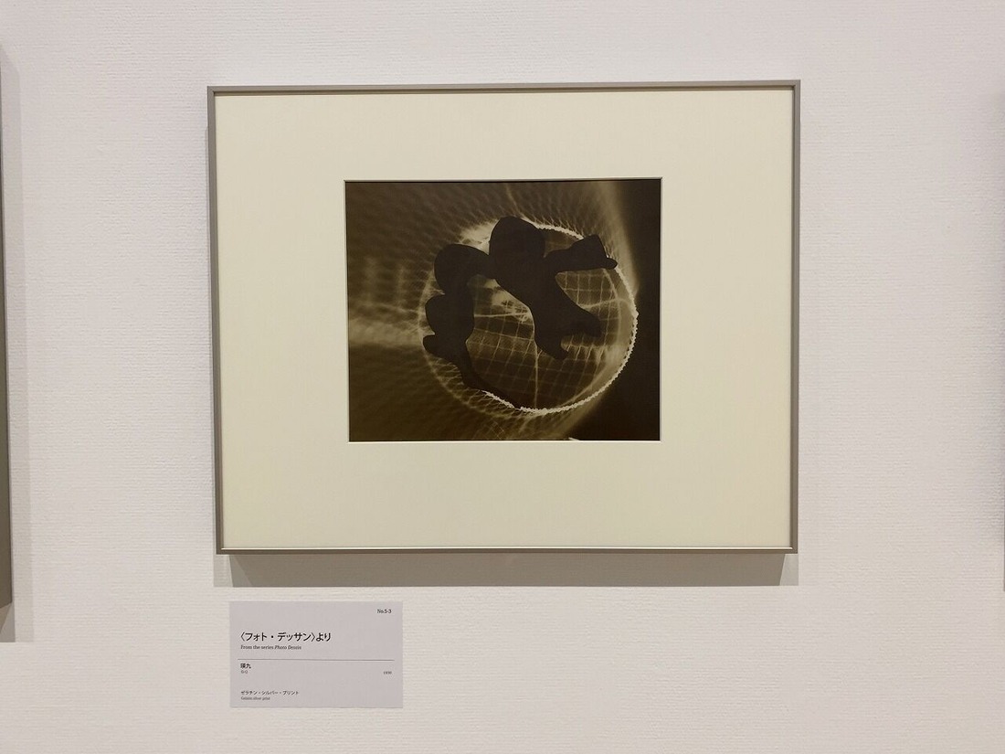 20220622東京都写真美術館「アヴァンガルド勃興」展 (8)