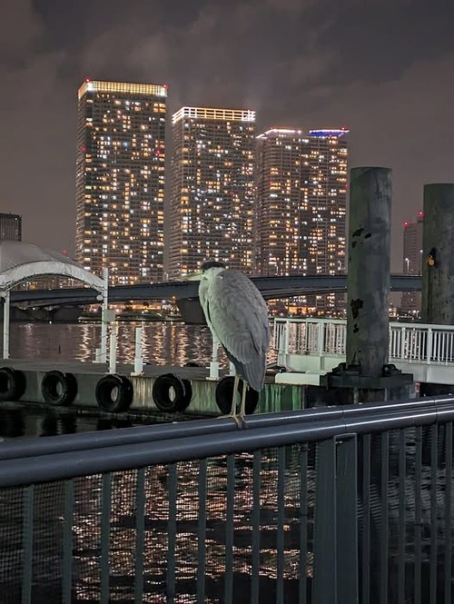 475833194_1331504518160722_6626039546126078985_n