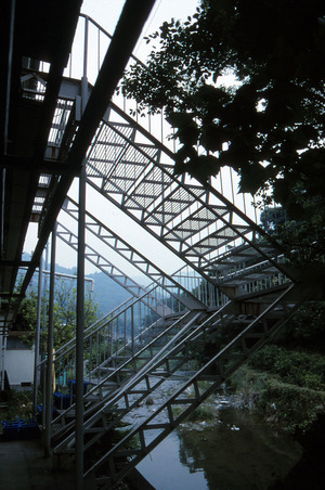 056縺ｮ繧ｳ繝偵ｚ繝ｼ