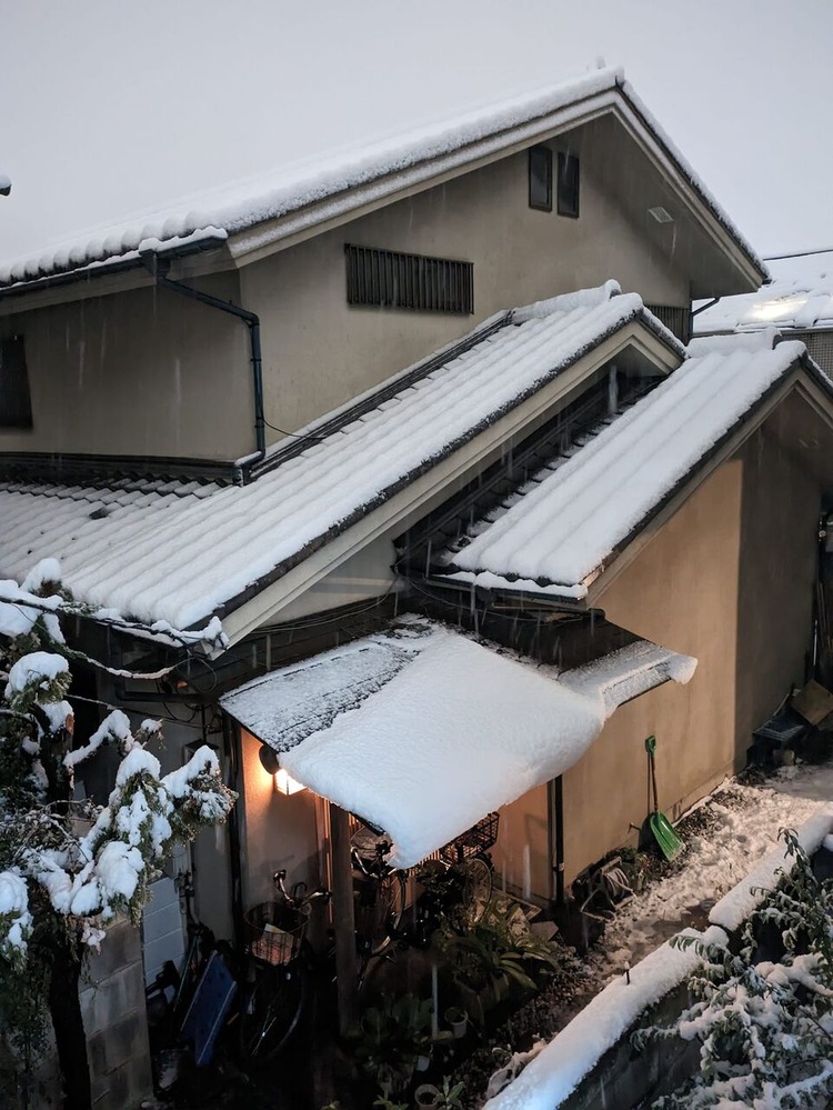 425508831_1098076254836884_1311128503471079862_n