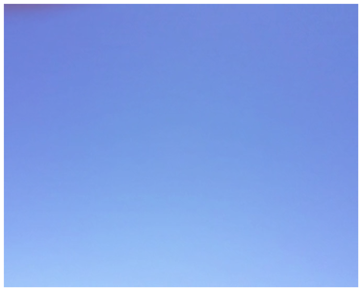 202101井戸沼紀美17