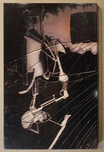 図19-3 奈良原一高『大ガラス』