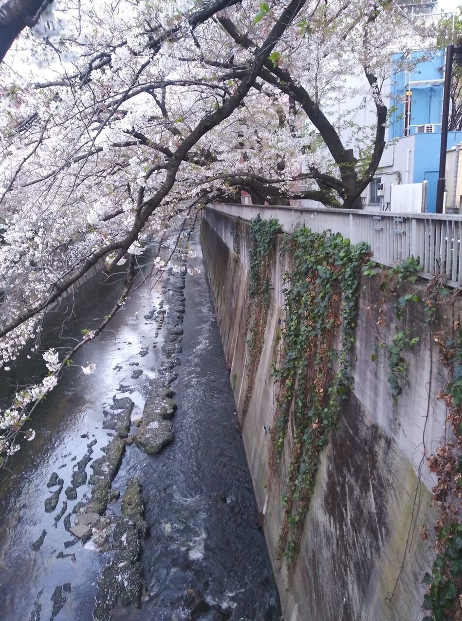 91692679_219176082726910_261623753832660992_n