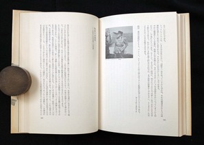 図12 ブルトンの写真