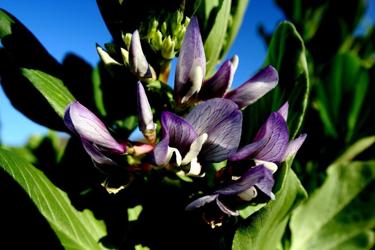 202106平嶋彰彦ph2-6V7A6849-b