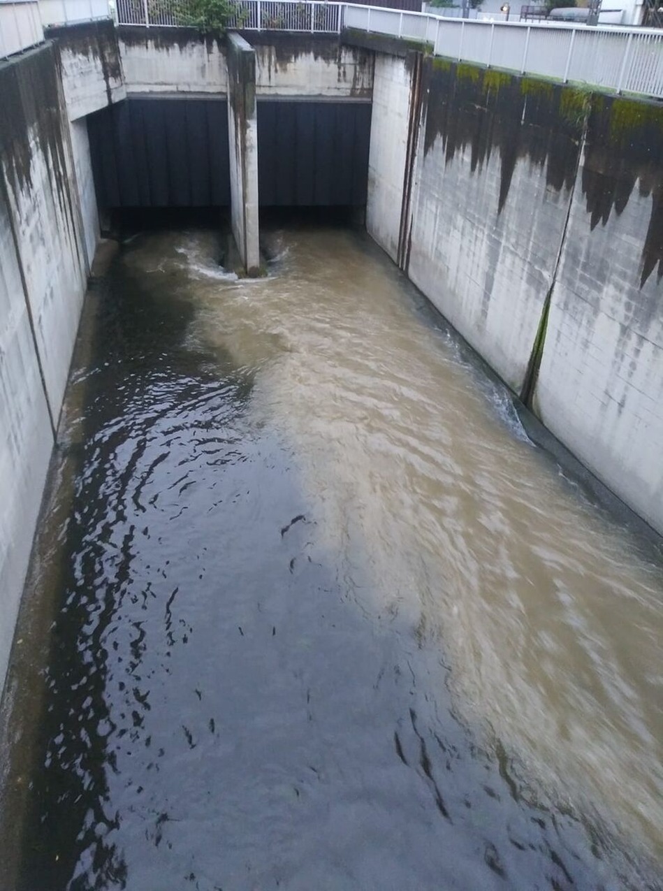 120198883_341837970460720_2010639723781111949_n