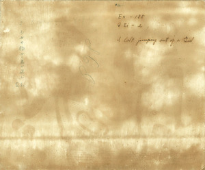 瑛九少女の胸から馬が飛ぶ　裏_600