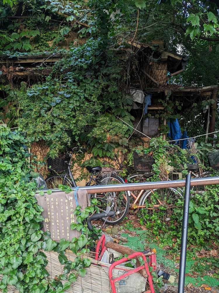 378388184_1020525025925341_2552669390568127104_n