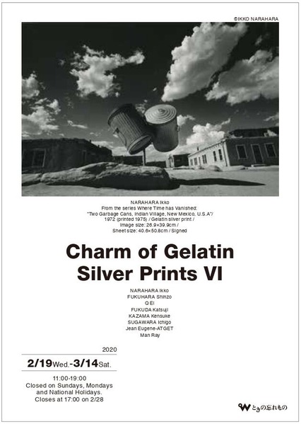 銀塩写真～ＤＭ表