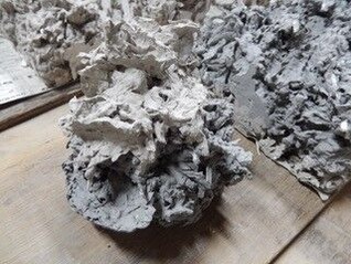 202110伊藤公象_02