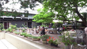 小町さんの会ご案内