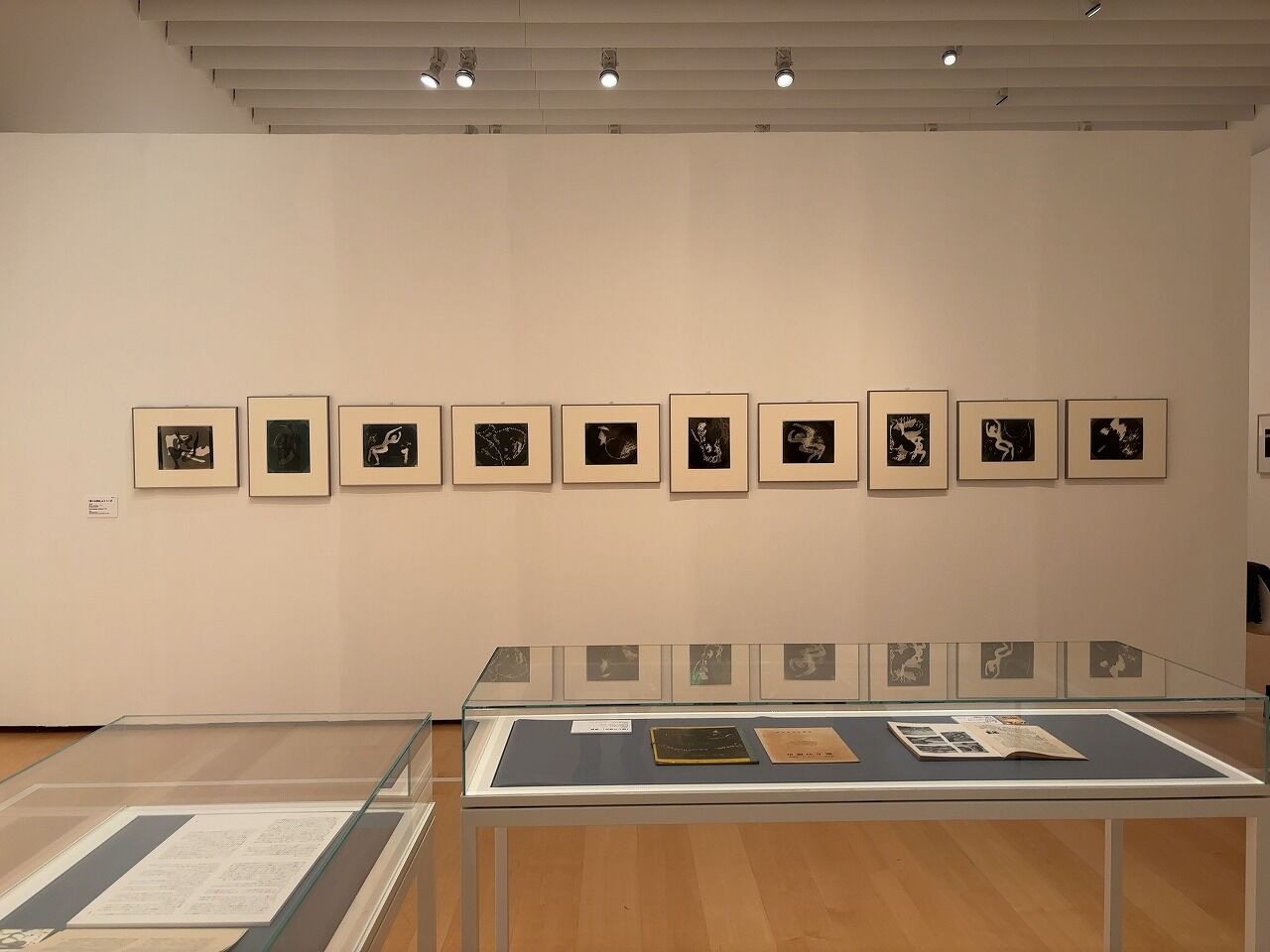 横須賀美術館 瑛九展 (5)