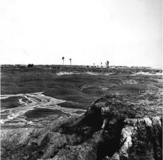 20200307佐藤研吾_3