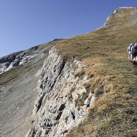 20191110杉山幸一郎IMG04