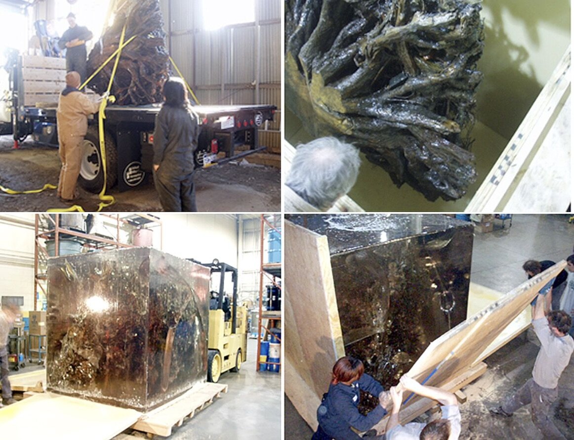 202008宮森敬子005