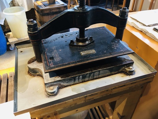 202204杉山幸一郎IMG 05