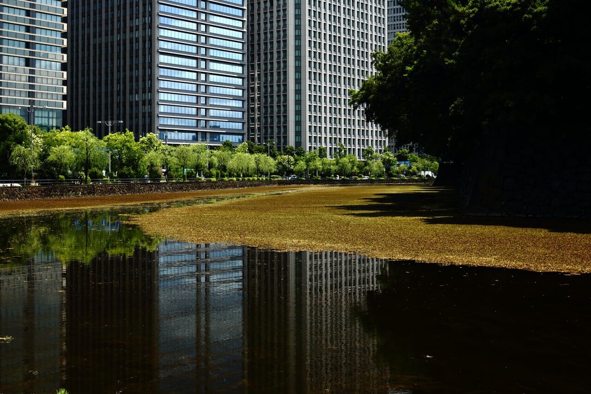 202109平嶋彰彦ph2